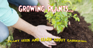 Growing plants Publicité Facebook template