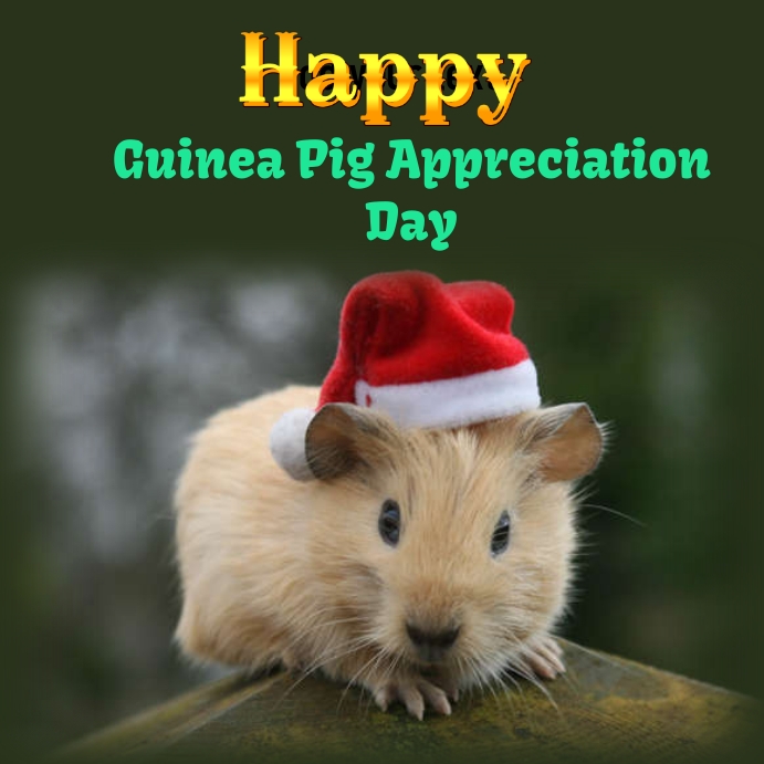 Copy of Guinea Pig Appreciation Day PosterMyWall