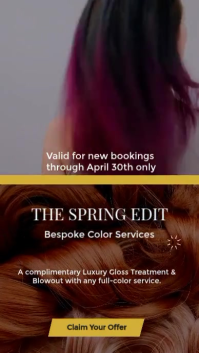 Luxury Spring Edit Hair Color Transformation & Gloss Promo story reel template