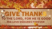 thanksgiving Digital Display (16:9) template