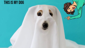 Turquoise Halloween Pet Costume Digital Display Template