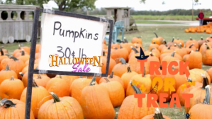Orange Halloween party video ตัวอย่างภาพบน YouTube Template