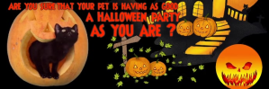 Halloween Pet Care Twitter Header template