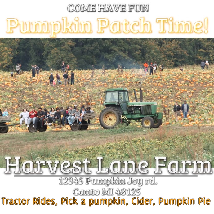 Halloween Pumpkin Patch Template PosterMyWall