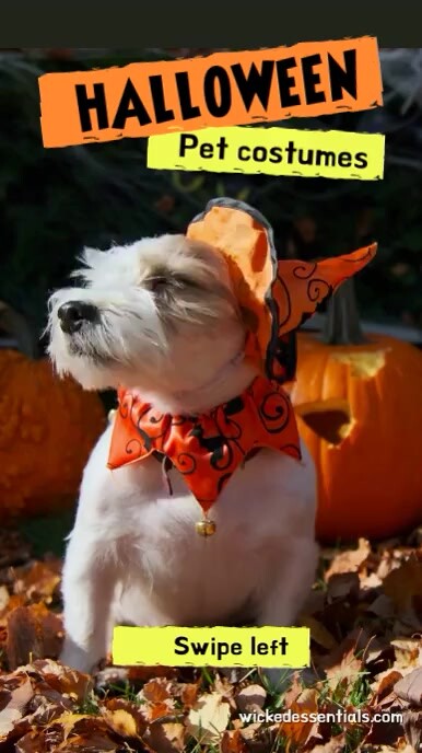 Halloween Titktok/Reel Thumbnails template