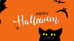 Halloween zoom digital backgrOund Præsentation (16:9) template