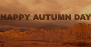 Orange Autumn Celebration Facebook 广告 Template