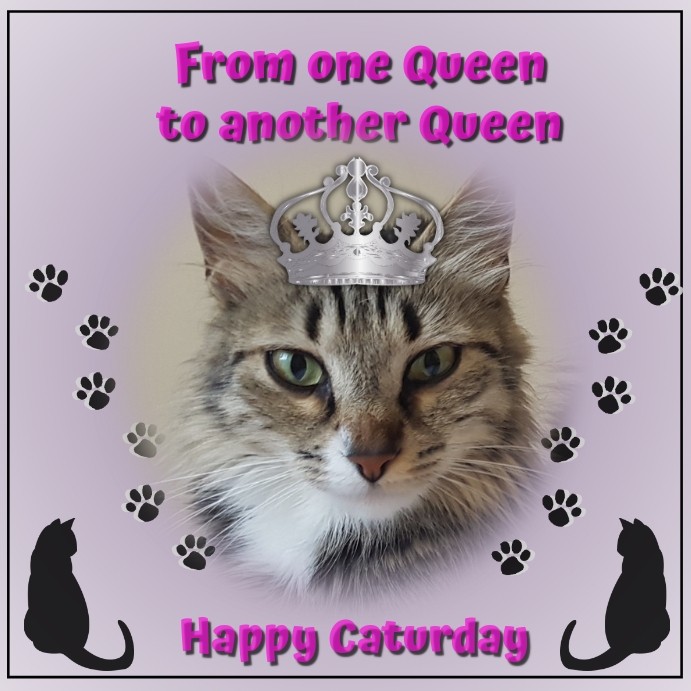 Copy of Happy Birthday Cat Lady | PosterMyWall Copy of Happy Birthday Cat Lady | PosterMyWall