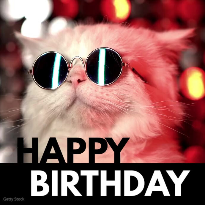 Happy Birthday Cool Cat Sunglasses Funny Wish สี่เหลี่ยมจัตุรัส (1:1) template