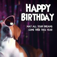Happy Birthday Greetings Wishes Funny Dog Kwadrat (1:1) template