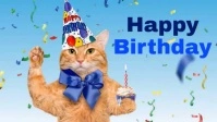 Happy Birthday Video Party Cat With Hat Wish template
