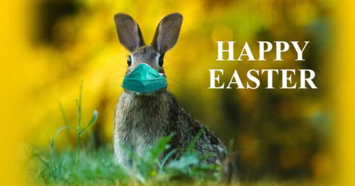 Happy Easter Greeting Card Corona Bunny Mask ภาพที่แชร์บน Facebook template