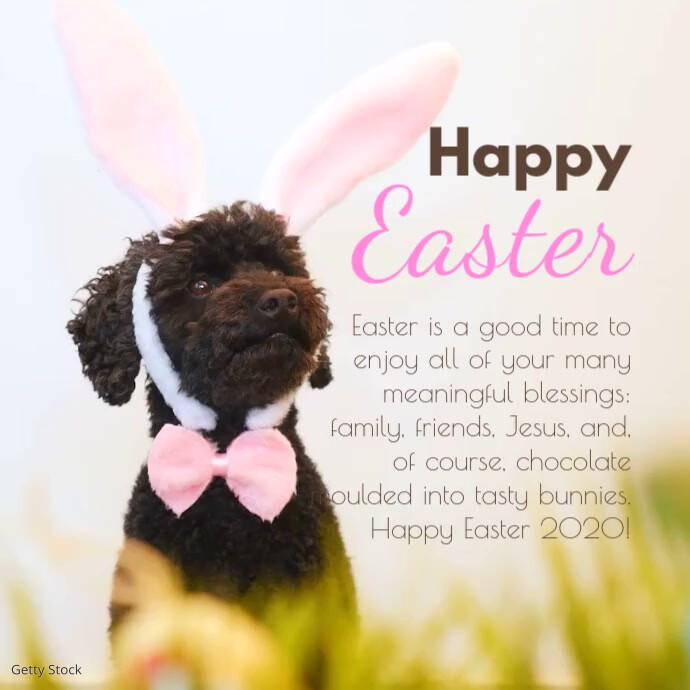 Happy Easter greetings dog wishes family card Quadrat (1:1) template