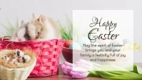 Happy Easter Wishes Bunny Decoration Banner Facebook Cover Video (16:9) template