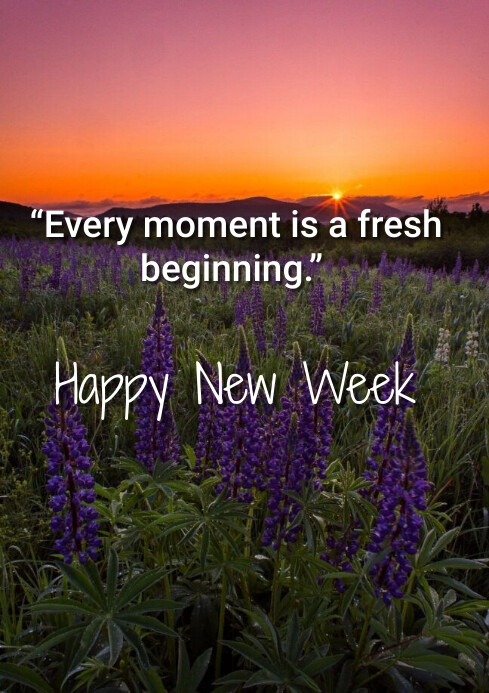 happy new week, new week Template | PosterMyWall