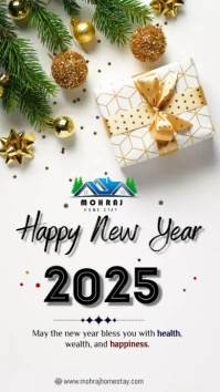 Happy New Year 2024 story template
