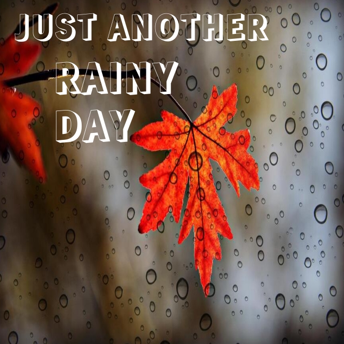 Happy Rain Quotes happy-rain-quotes