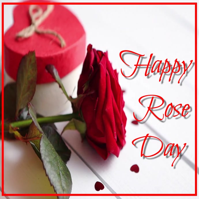 Happy Rose Day Instagram-bericht template