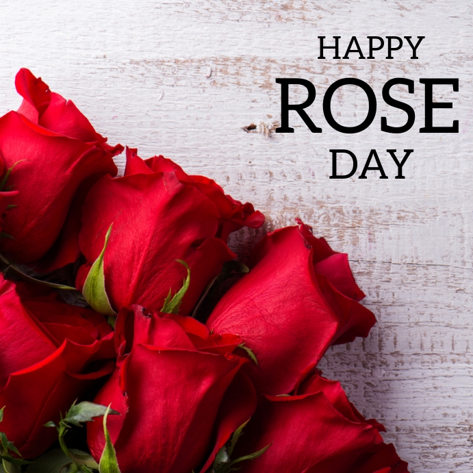 happy rose day Template | PosterMyWall