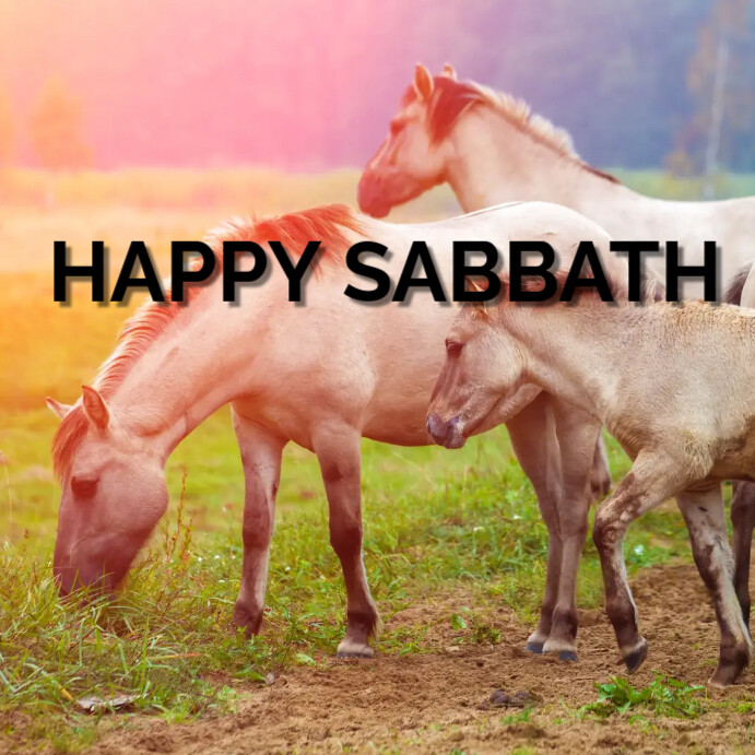 Happy Sabbath Instagram Plasing template