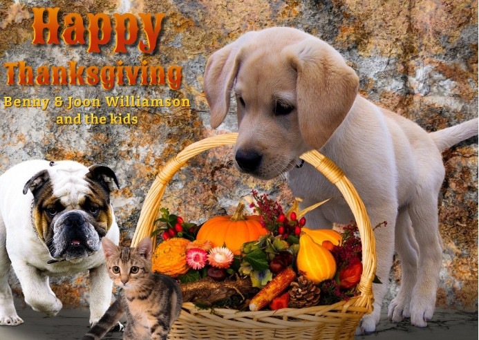 Amazon thanksgiving book Amazon thanksgiving book