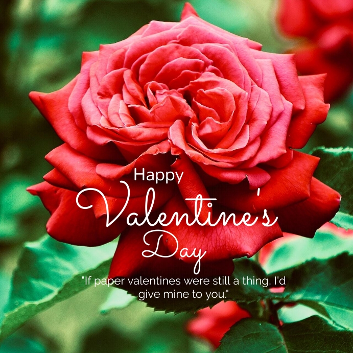 Happy Valentine #39 s Day IG Post 2023 2024 Template PosterMyWall Happy Valentine #39 s Day IG Post 2023 2024 Template PosterMyWall