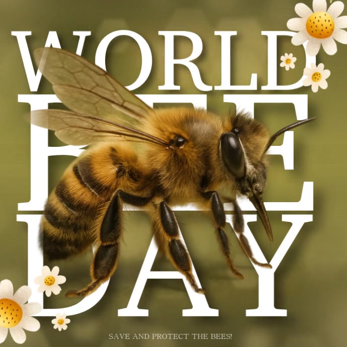 Happy world bee day instagram square design template