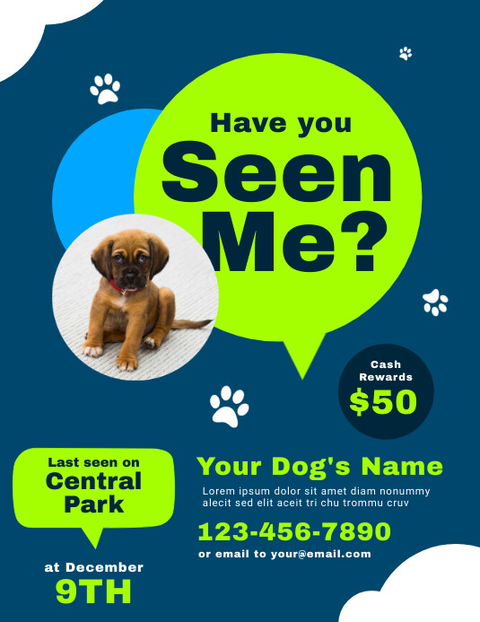 Have You Seen Me Poster Template