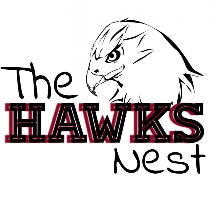 Hawk Logo template