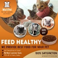 Healthy cat food advertisement social media Instagram Plasing template