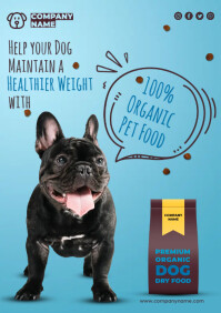 Healthy Dog A4 template