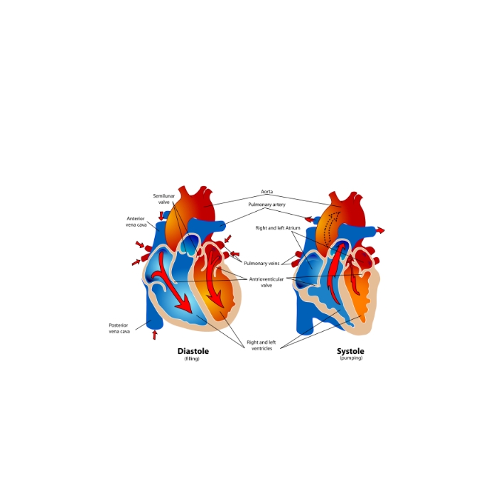 Heart structure Instagram-opslag template