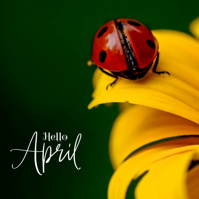 hello april post Template | PosterMyWall