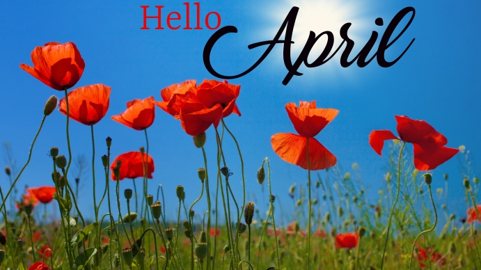 Hello April Field Hello April Facebook Cover Aqua Joyful Hello April Facebook Cover