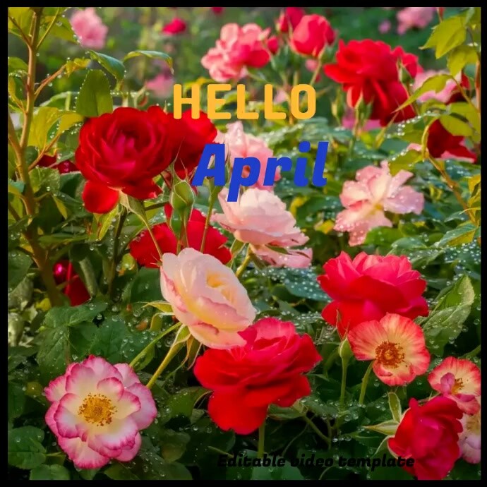 April Video Hello April video template | PosterMyWall