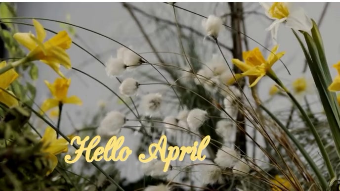 April Video Plantilla de Hello April Video Template | PosterMyWall