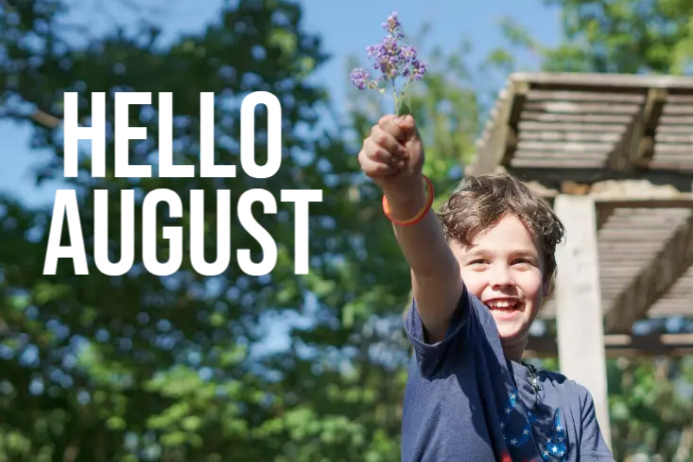 Hello August Newsletter hello august Template | PosterMyWall