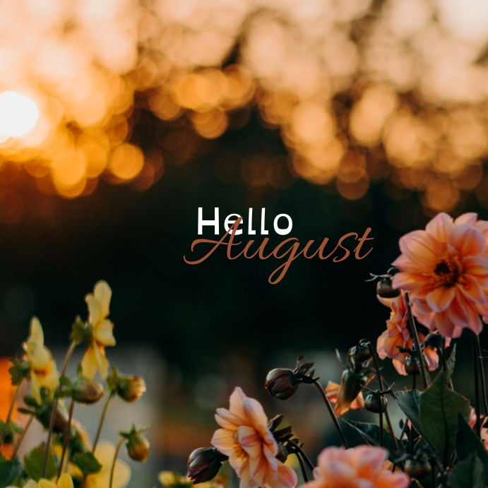 Hello August Newsletter hello august Template | PosterMyWall
