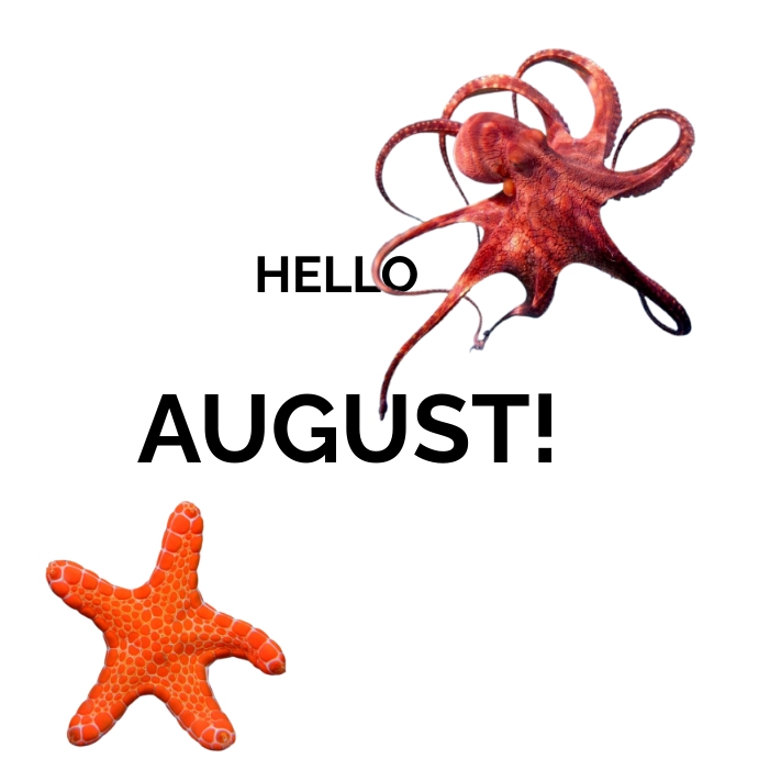Hello August Post Instagram template