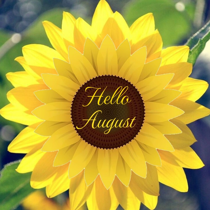 Hello August Newsletter Hello august Template | PosterMyWall
