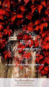 Hello December Instagram Story Template – Festive Red Leaves Design