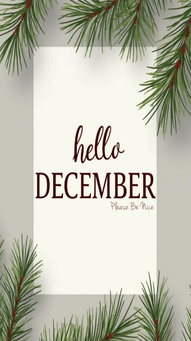 Hello December Please Be Nice Design Template Instagram Story