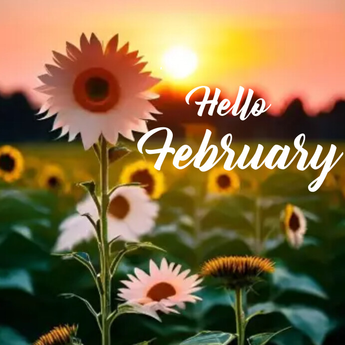 Copy of Hello February Instagram post | PosterMyWall