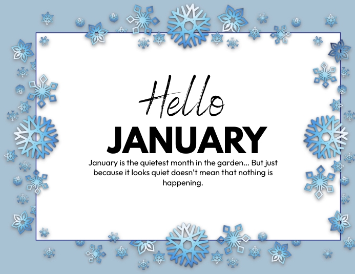 January Design/coding Copy of hello january | PosterMyWall
