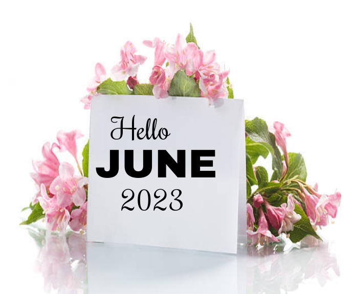 Hello june Medium Rectangle template