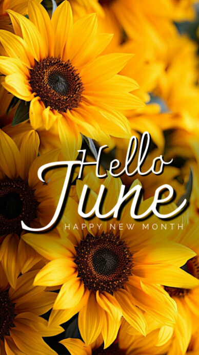 Hello June Instagram Story template