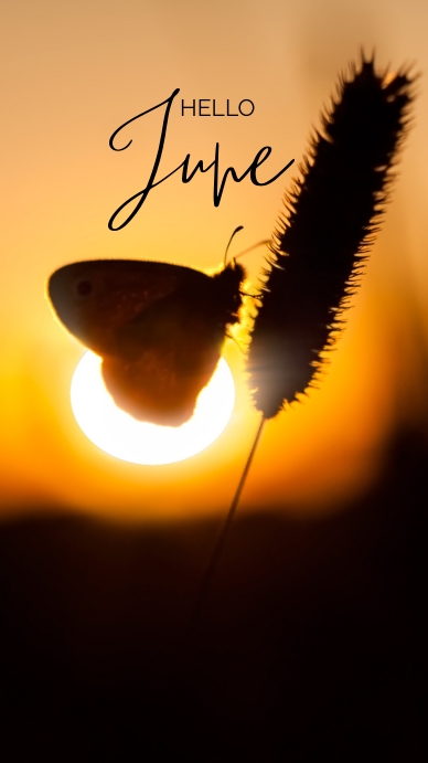 Hello june Instagram Story template