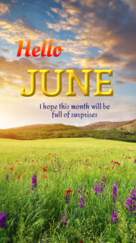 Hello June Instagram Story Template | PosterMyWall