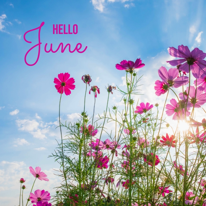 Hello June Instagram Post Template | PosterMyWall