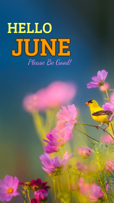 Hello June Instagram Story Template | PosterMyWall